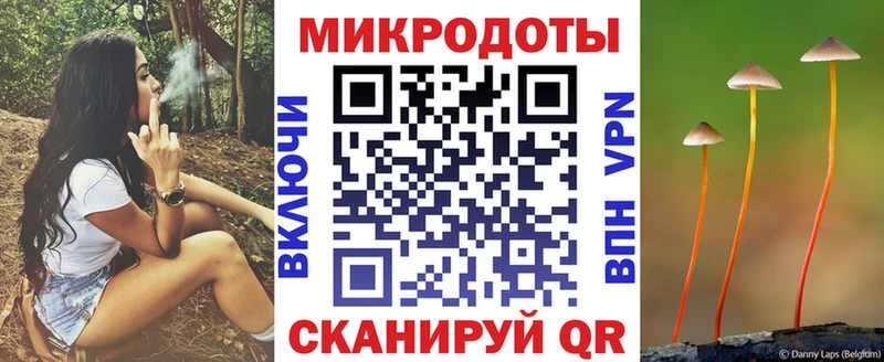 Псилоцибиновые грибы Psilocybe Новочебоксарск
